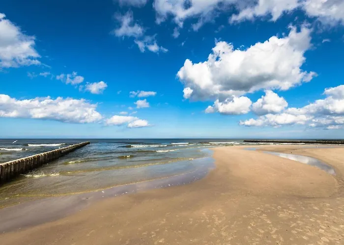 Comfortable Apartment, Ground Floor, Balcony Grzybowo (West Pomeranian)